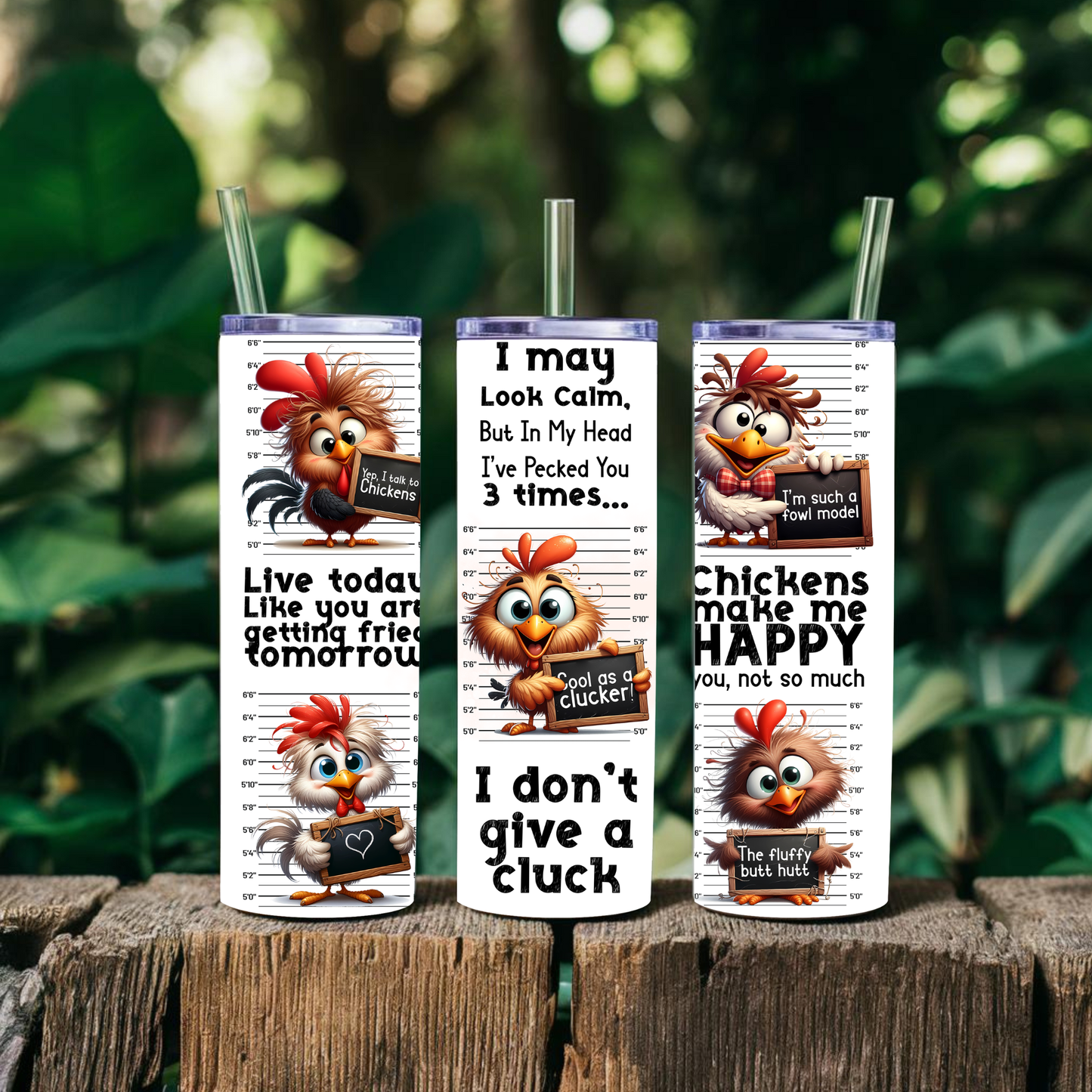 Chicken Fun 20 oz Tumbler